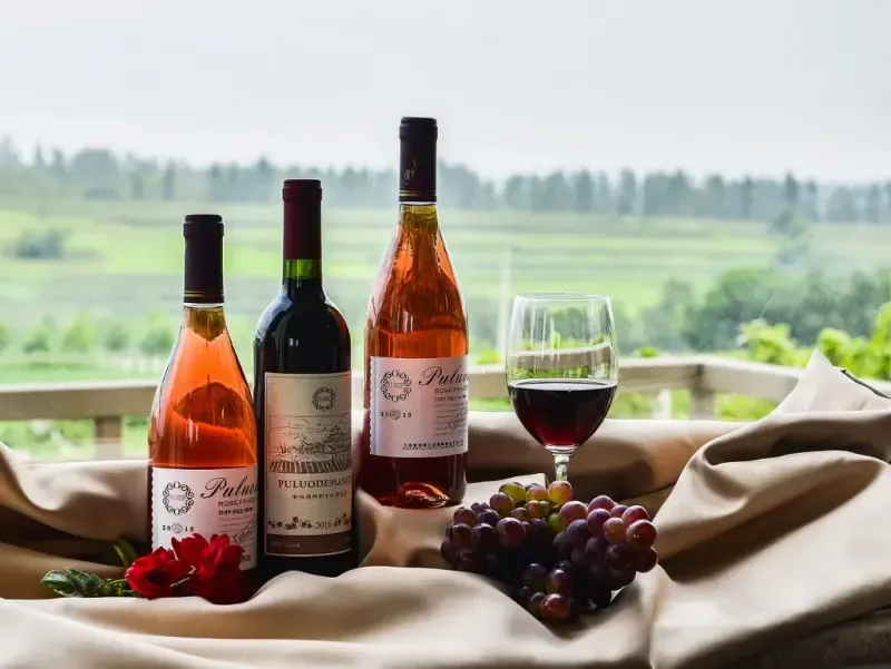 Regionalne wina świata: odkrywamy smaki Europy, Ameryki i Australii